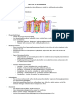 Structure of Cell Membrane Cell Transport