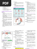 Chapter 7 Muscular System