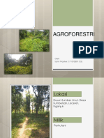 AGROFORESTRI