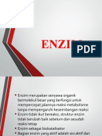 4. SISTEM KERJA ENZIM