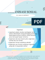 organisasi sosial