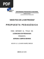 Didactica de La Motricidad