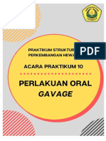 Praktikum Oral Gavage