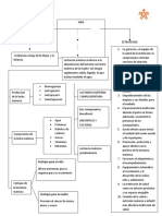 Mapa Conceptual Del Iami