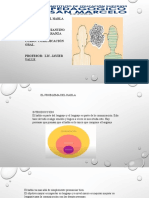 Problemas Del Habla