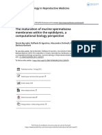 The Maturation of Murine Spermatozoa Membranes Within The Epididymis A Computational Biology Perspective