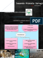 Juwanda Pranata Saragih - 4203220016 - Toksikologi Pencemaran Air - PSB 20 A