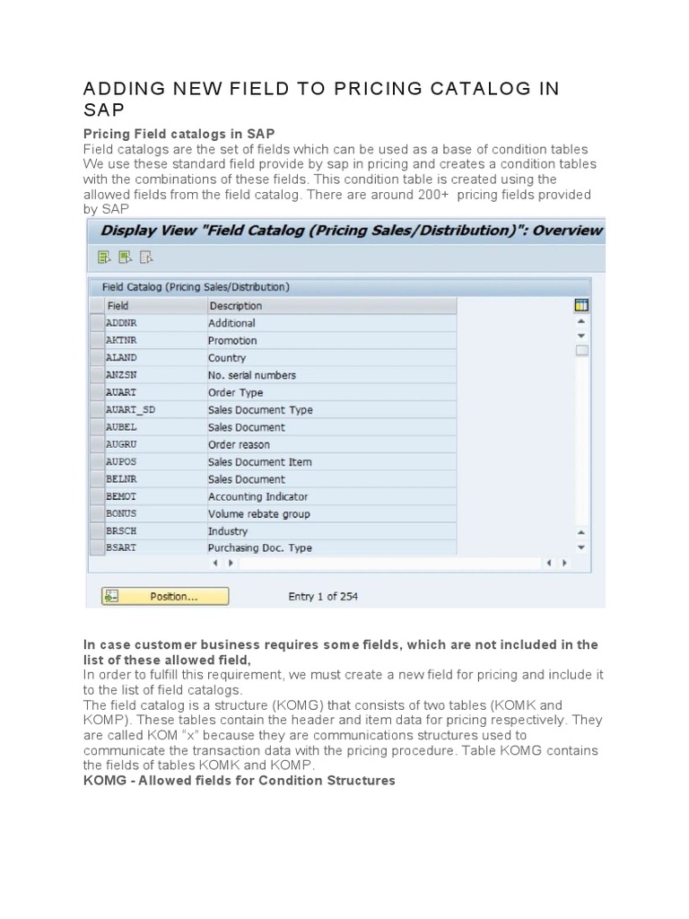Adding Fields to SAP Pricing Catalog | PDF | Information Age | Computer ...