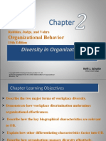 Organizational Behavior: Diversity in Organizations