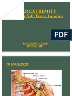 UPPER LIMB Soft Tissue Disorders 1