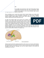 Mekanisme Neurologis Bicara