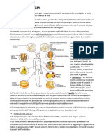 Endocrinologia File Completo