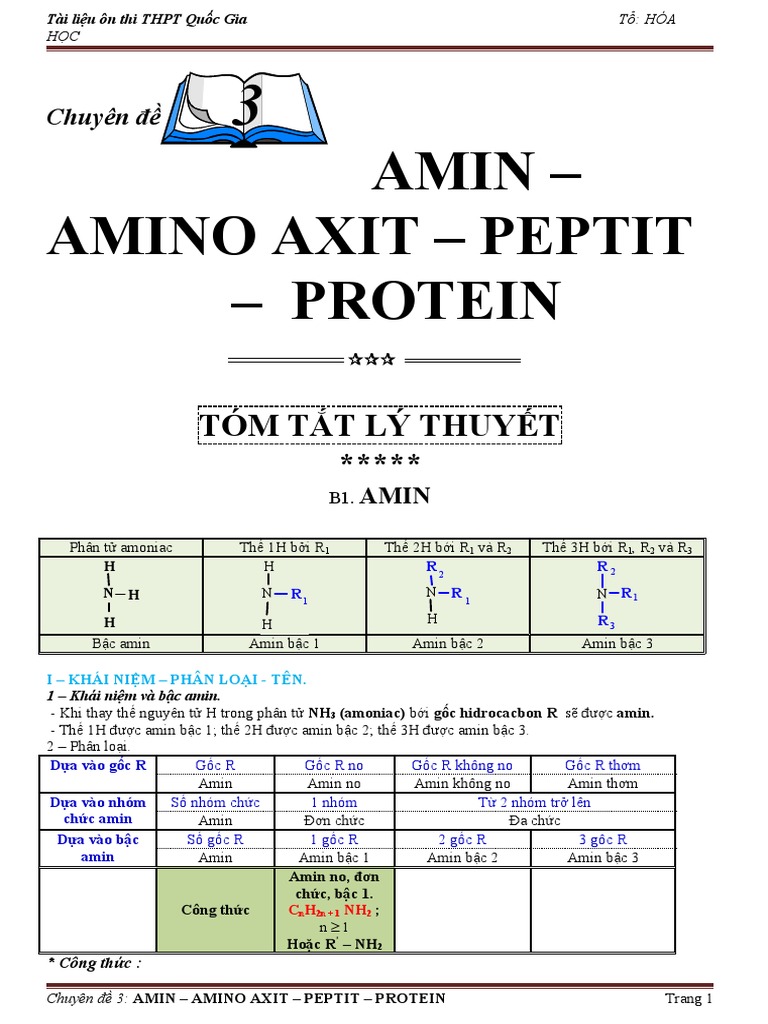 AMIN | PDF