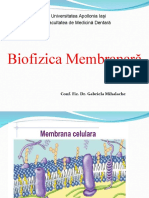 Biofizica - Curs 7+8