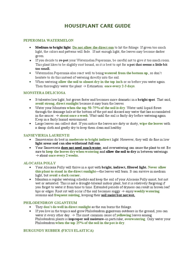Houseplant Care Guide: Medium To Bright Light | PDF | Houseplant | Leaf