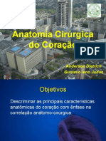 Anatomia Cirúrgica do Coração