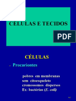 Aula_Celulas_e_Tecidos2