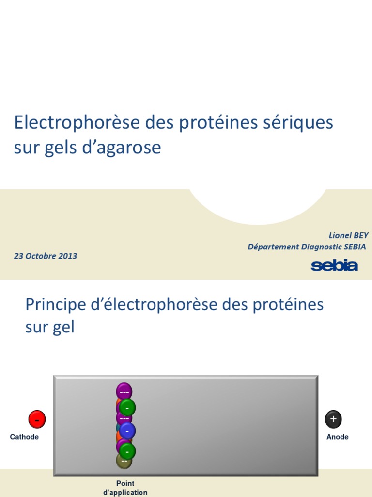 electrophor-se-des-prot-ines-s-riques-sur-gels-d-agarose-pdf