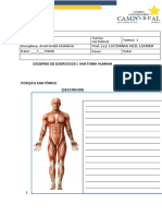 Caderno de Exercícios Anatomia