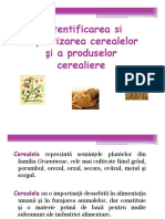 Cereale Si Produse Cerealiere