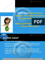 Anatomi Sistem Saraf NBS