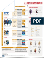 Atlas de sedimentos urinarios: predisposición y tratamiento de cálculos