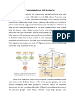 LPM 2 (Bio)