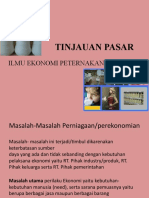 TINJAUAN PASAR