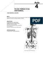 Esqueleto do tórax e da coluna vertebral: estrutura e funções