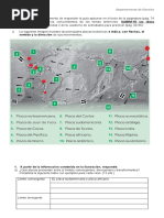 (7°B) Guía N°2 - (1°Q) Junio - Placas Tectónicas