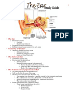 The Ear Study Guide