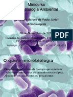 41775685 Minicurso Microbiologia Ambiental