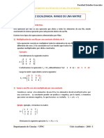 Teoria Matriz Escalonada. Rango de Una Matriz