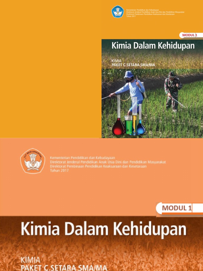Modul Kimia M 1 Paket C Kimia Dalam Kehidupan Indd1 Pdf