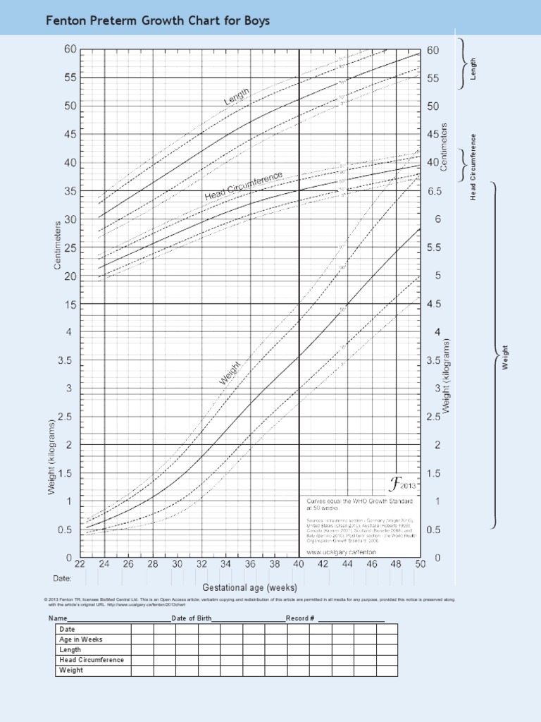 Fenton Growth Chart Boypdf PDF Labia Clitoris