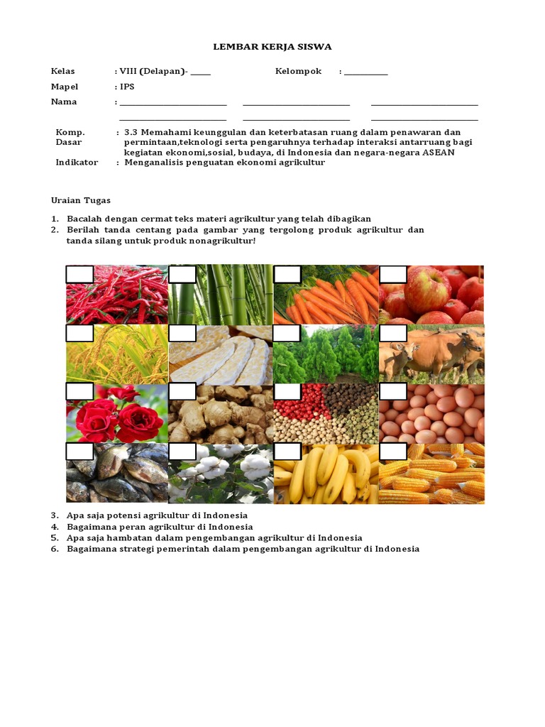 Strategi yang dilakukan pemerintah dalam upaya mengembangkan agrikultur di indonesia dengan cara men