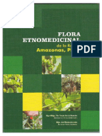 Flora etnomedicinal de la Región Amazonas