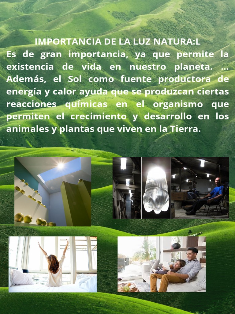 Cuidado Del Medio Ambiente | PDF | Hogar, jardinería y bricolaje ...