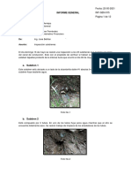 INF-GEN-015 (15-05-2021) Informe Inspección Subdrenes