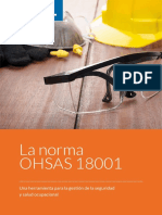 La Norma Ohsas 18001