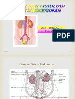 Anatomi & Fisiologi Sistem Perkemihan - Edit-1