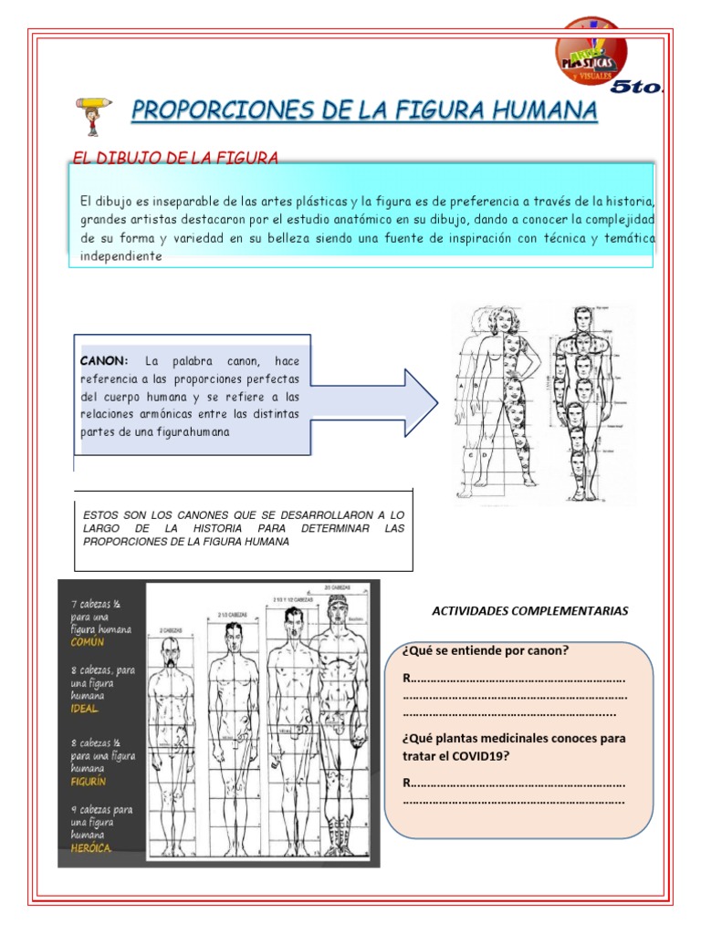 Proporciones de La Figura Humana | PDF | Dibujo