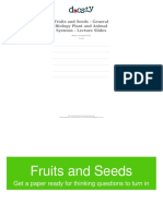 Docsity Fruits and Seeds General Biology Plant and Animal Systems Lecture Slides