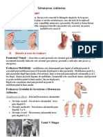 Metatarsus Adductus