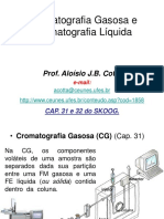 Acotta-AULA 6 Cromatografia Gasosa e Cromatografia Líquida