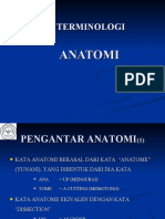 02b Terminologi Anatomi