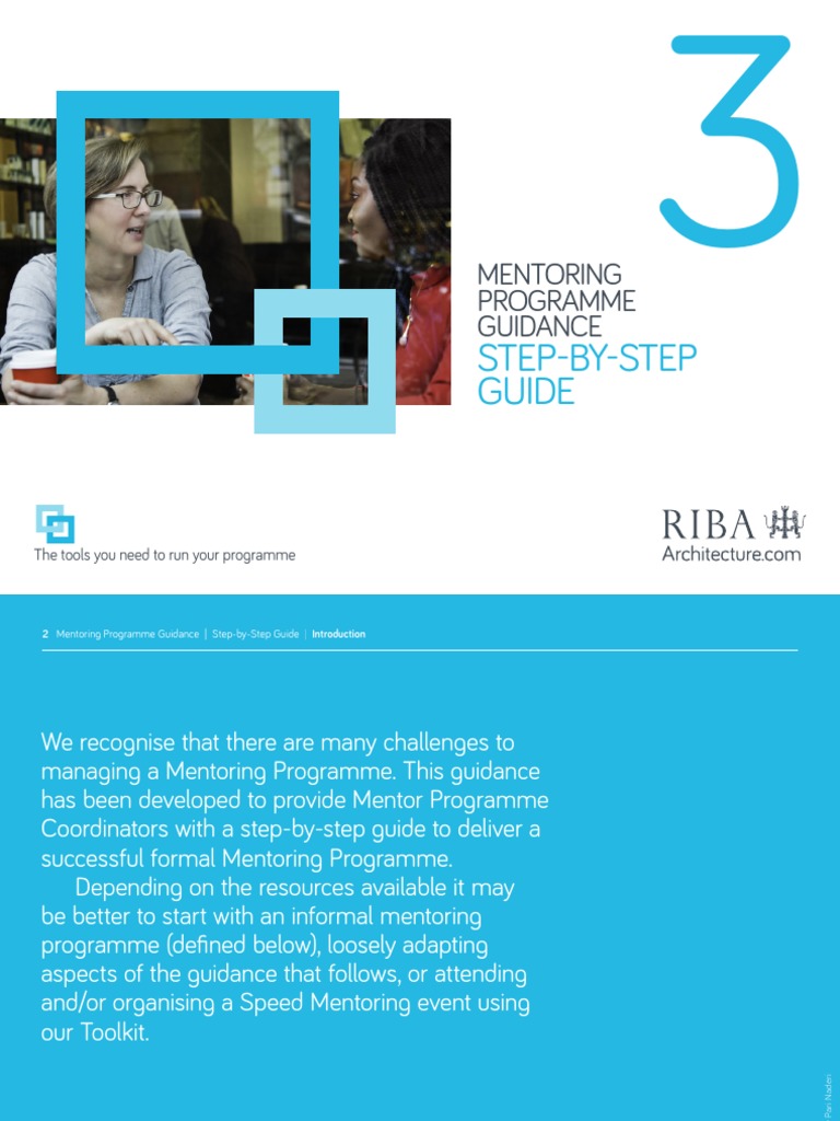 Mentoring Programme Step-by-Step Guide | PDF | Mentorship | Risk