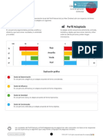 Modelo Reporte DISC