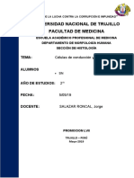 CASO-CLÍNICO-07-CÉLULAS-DE-CONDUCCIÓN