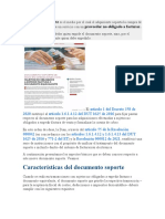 Documento Soporte